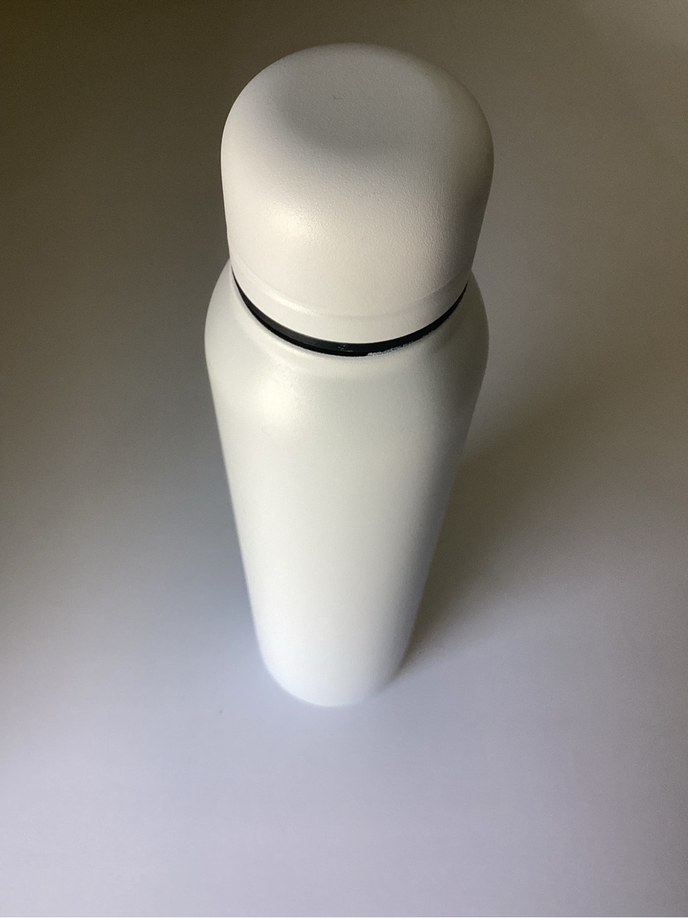 Sleek White Stainless Water Bottle